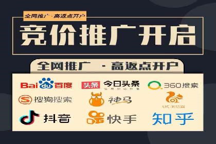 案例解析：百度推广排名提升的实战技巧