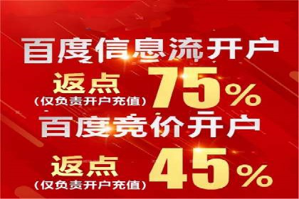 搜索引擎营销（SEM）广告投放的五大成功案例